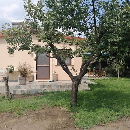 Villa Tiny House By The Sea Nea Skioni Esterno foto