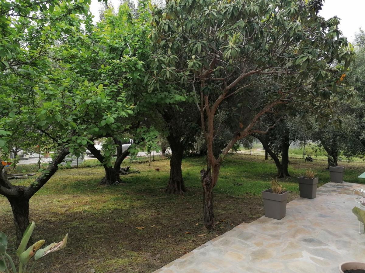 Villa Tiny House By The Sea Nea Skioni Esterno foto