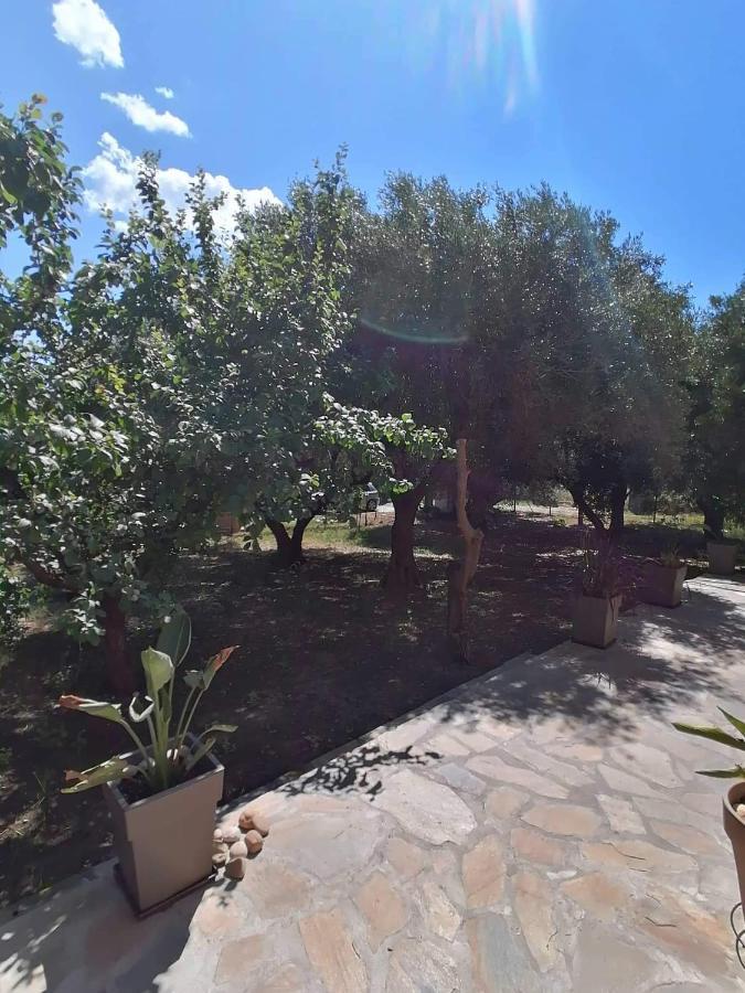 Villa Tiny House By The Sea Nea Skioni Esterno foto
