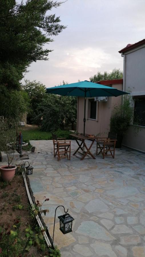 Villa Tiny House By The Sea Nea Skioni Esterno foto