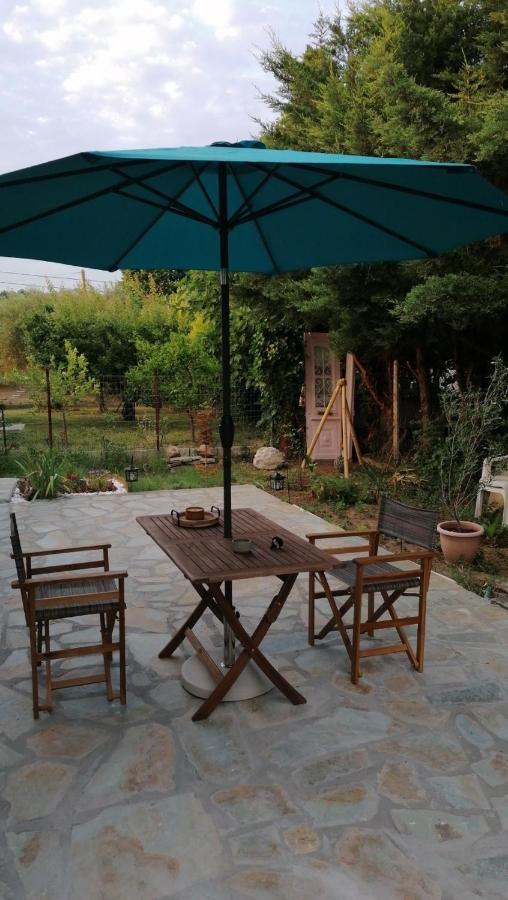 Villa Tiny House By The Sea Nea Skioni Esterno foto