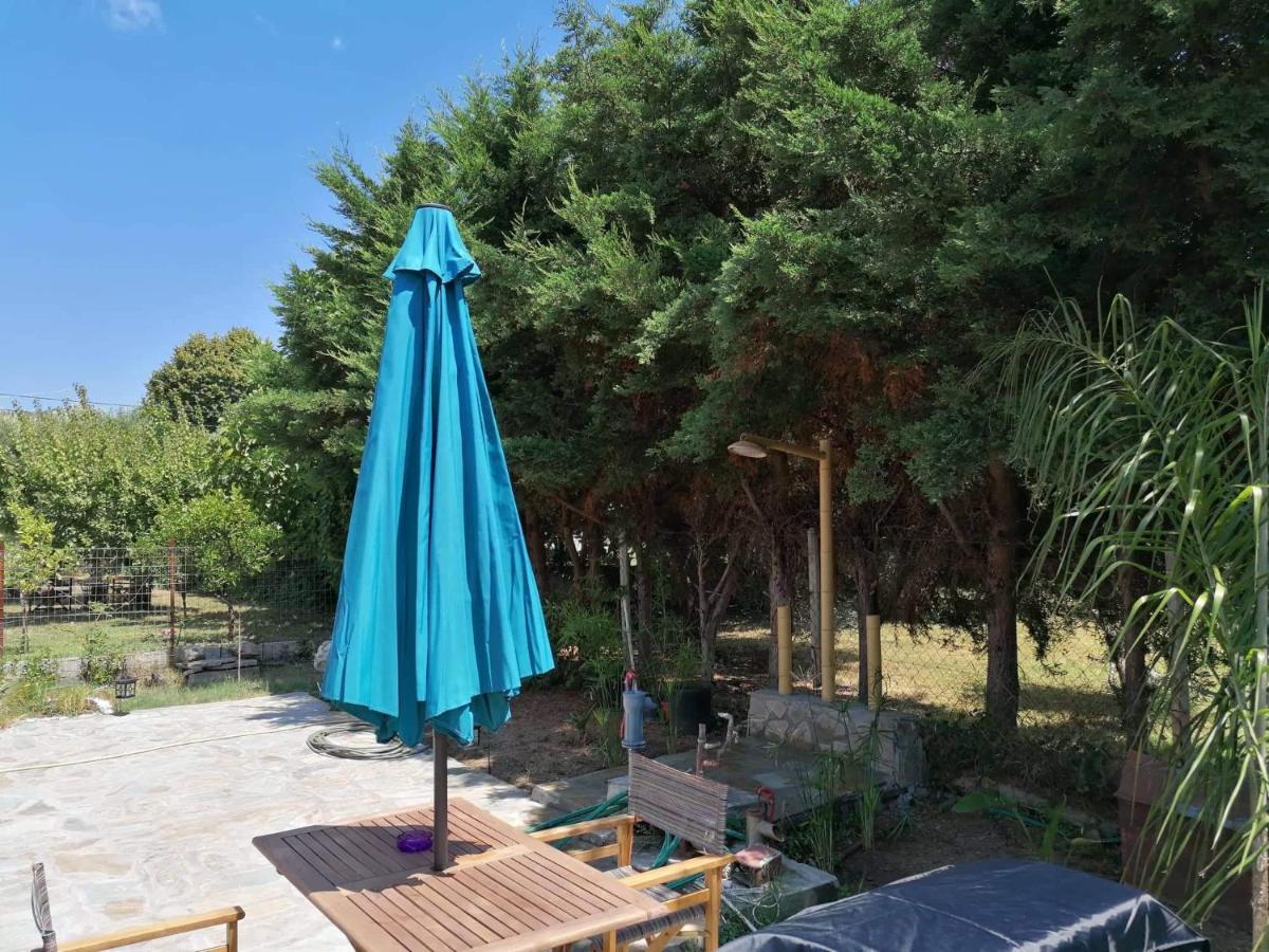 Villa Tiny House By The Sea Nea Skioni Esterno foto