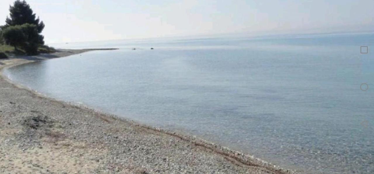Villa Tiny House By The Sea Nea Skioni Esterno foto