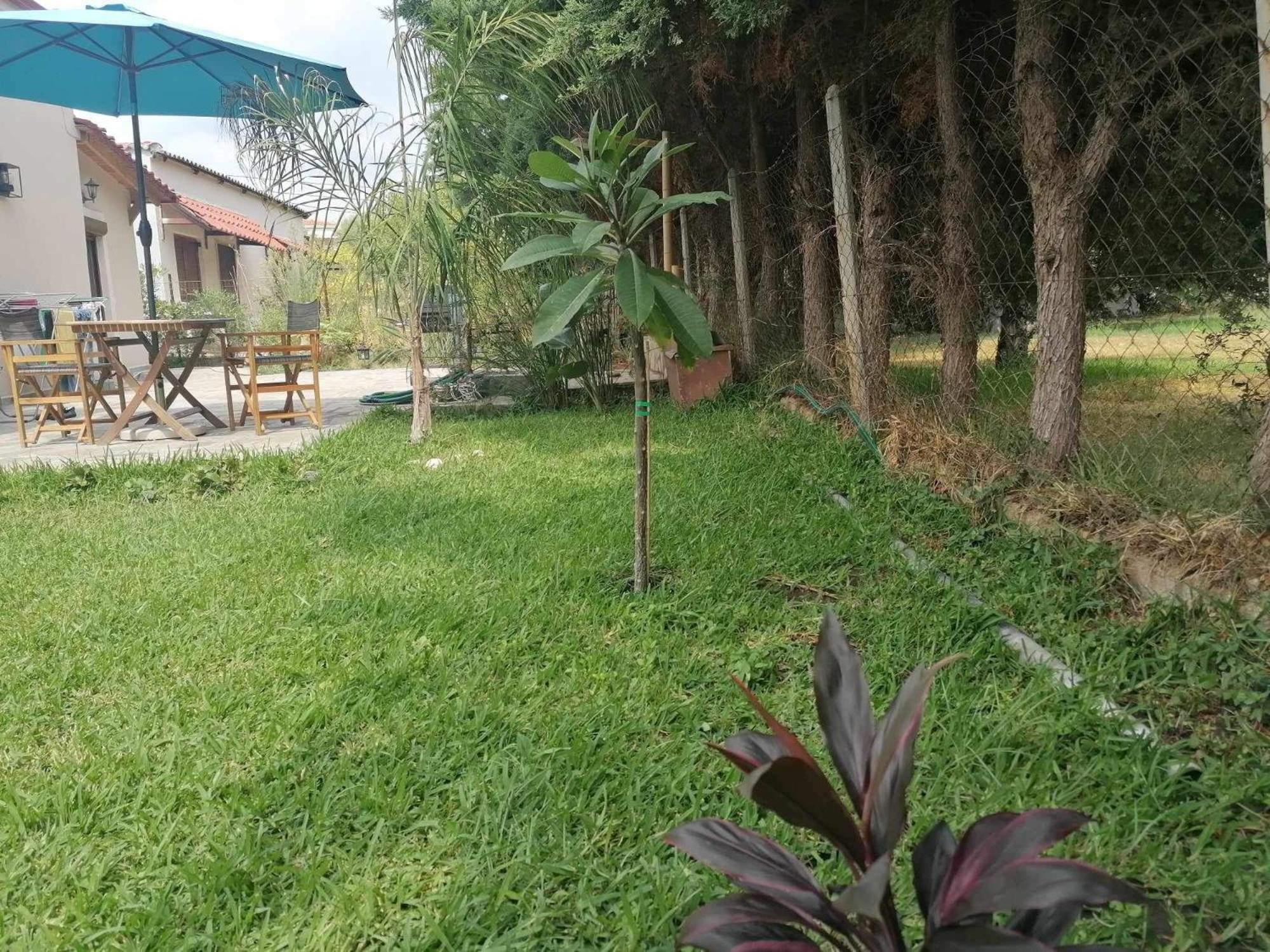 Villa Tiny House By The Sea Nea Skioni Esterno foto