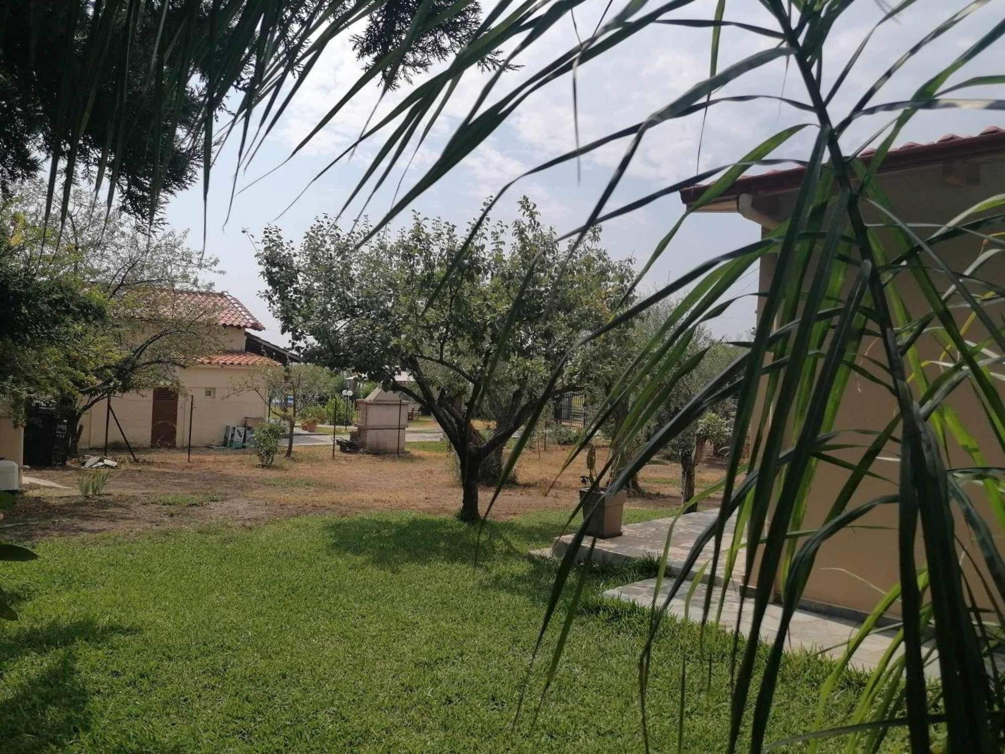 Villa Tiny House By The Sea Nea Skioni Esterno foto
