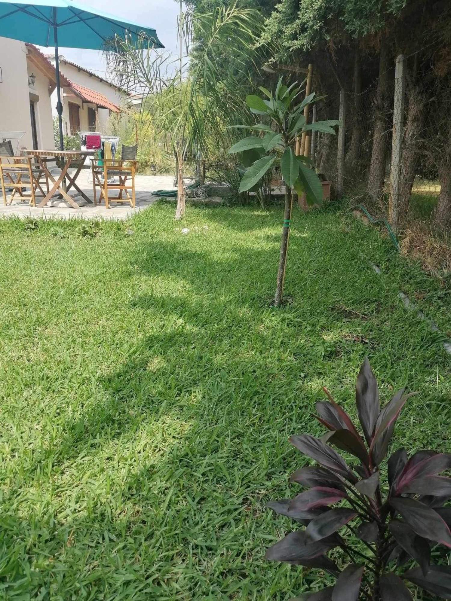 Villa Tiny House By The Sea Nea Skioni Esterno foto