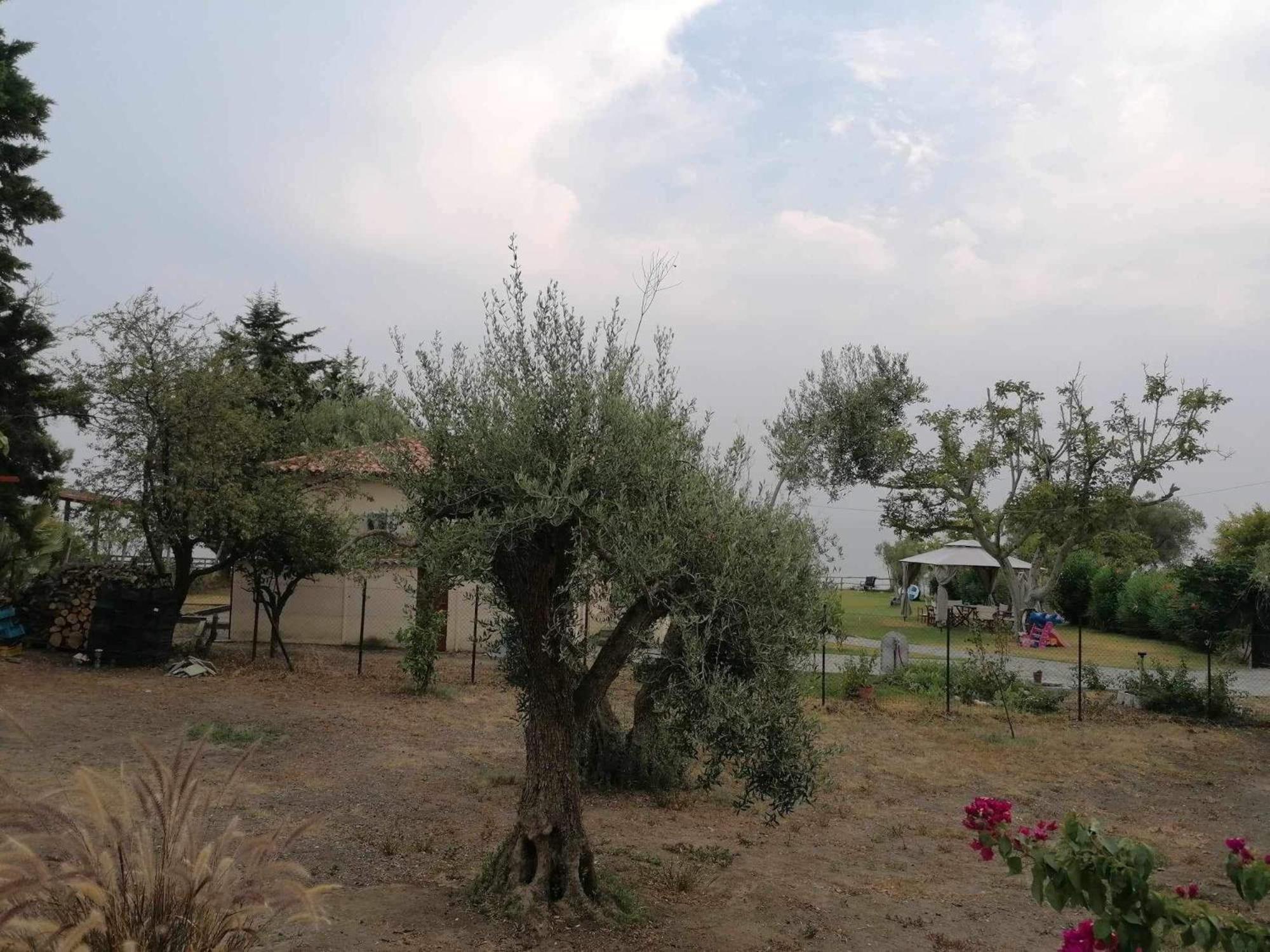 Villa Tiny House By The Sea Nea Skioni Esterno foto