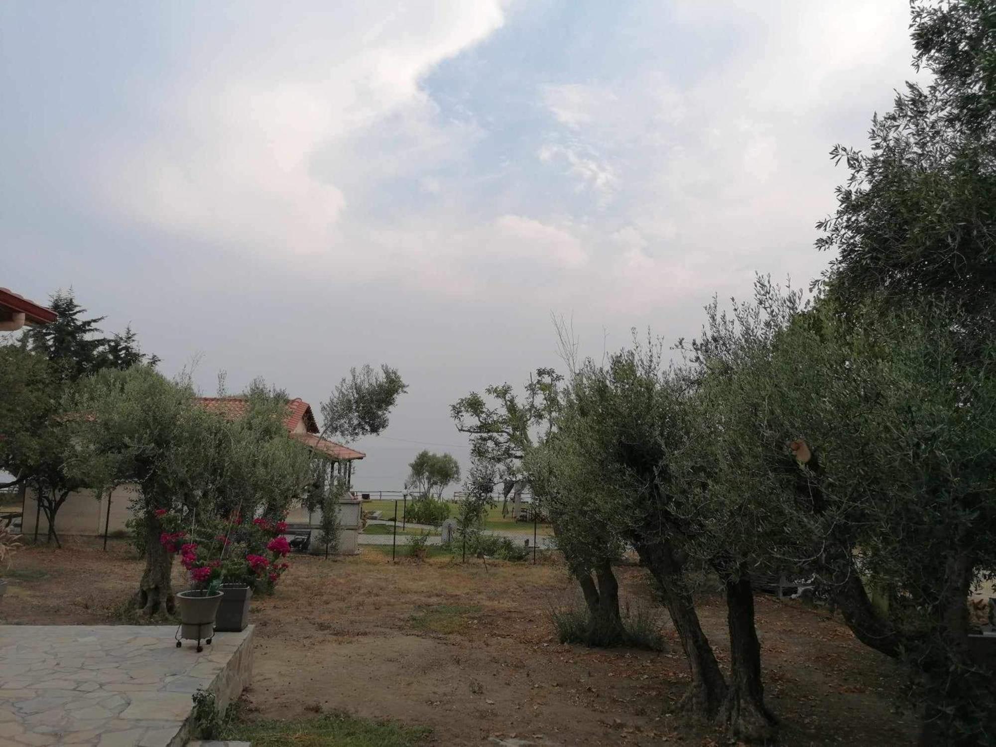 Villa Tiny House By The Sea Nea Skioni Esterno foto