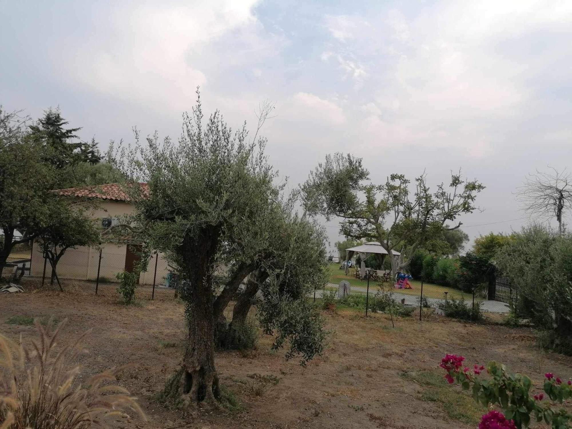 Villa Tiny House By The Sea Nea Skioni Esterno foto